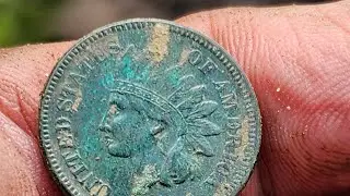 Metal detecting 8/17/24.  My oldest Indian Cent so far!  Last minute silver!  More Buffalos!