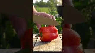 Satisfying Bell Pepper Cut in Slow Motion | Cinematic Macro ASMR | Just Nature & Knife