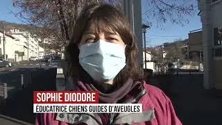 Prof, chien guide d'aveugle