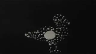 Animare con lo Schermo di Spilli