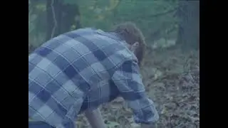 Bye Bye, Peter Rabbit