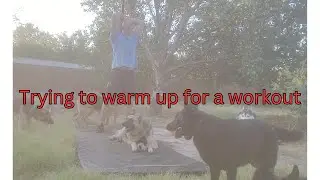 Why I don't workout at home