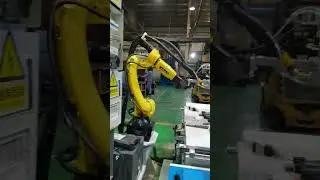 Application of industrial robots and hot melt adhesive machines in the automotive industry.
