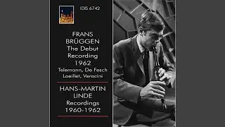 Partita No. 5 in E Minor, TWV 41:e1 (Arr. for Recorder) : VI. Vivace