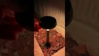 Why I Like Linkind Solar Pathway Lights