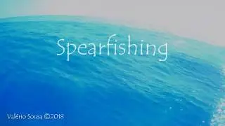 Spearfishing 2018 | Winter