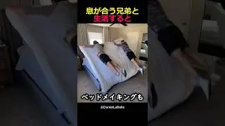 息が合う兄弟と生活すると