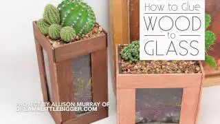 How to Glue Wood to Glass: DIY Terrariums