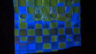 angelwings marmalade (aka angel marcloid) @ the vcr [3 clips]