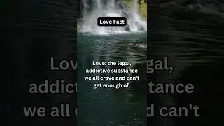 #love #legal #facts #moneyforfun