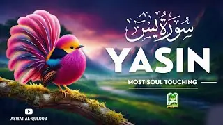 Surah Yaseen (سورة يس) | Heart-Touching Quran Recitation for Peace & Healing #surahyaseen