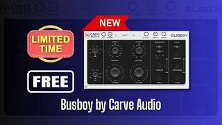 This GREAT NEW Plugin is FREE FOR LIMITED TIME! Busboy by Carve Audio   Sound Demo