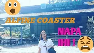 Alpine Coaster in Vietnam ( Grabeeeh ! ) Rides na di mo Inaasahan