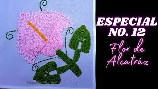 ESPECIAL NO. 12 | 💐 FLOR DE ALCATRÁZ 💐  | Puntillas Maribel