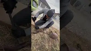 #automobile #car #howto #mechanic #tutorial #fordka #fun #broken #exhaust #rust #pipe #work #not