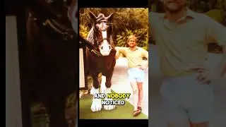 Он ограбил банк и исчез на 52 года.