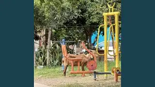 Alma sin Alma