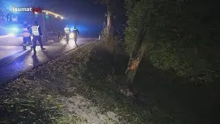 Lenker verletzt: Auto bei Unfall in Wels-Land frontal gegen einen Baum gekracht