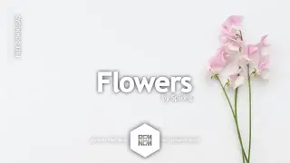 Flowers - Spiring | Royalty Free Music | RFM - NCM | No Copyright Music | Chill | Tropical | Vlog