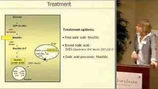 Marjan Huizing - Therapy for Disorders of Hyposialylation