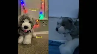 @ryry.essaz.X3 I dueted your vid!!!  Hope you like it!! (Let me know if you want the tag off) #essa