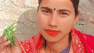 stree couple vlogs live on! indian Couple romantic vlogs live