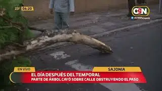 Destrozos por Asunción: El día después del temporal