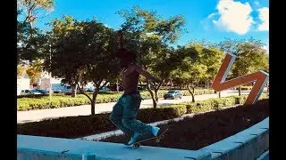 Skateboarders near the Miami Marlins Park!