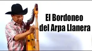 El Bordoneo del Arpa