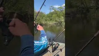 #fishing #team #carpfishing #carp #sportfishing #fish #fox #angling #foryou #puhachteam