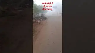 Guna ghana kohra with 🐕🐕🐕
