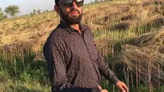 Moro, Sindh Pakistan