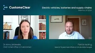 Drop in EV domestic sales in China