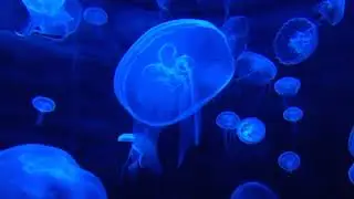 108 Hz - Deep Meditation Frequencies