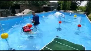 Swim dog le gare acquatiche dei cani