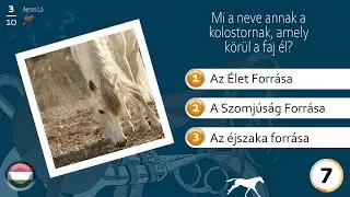 Aenos L&oacute;, a lovas kv&iacute;z, L&oacute;fajt&aacute;k