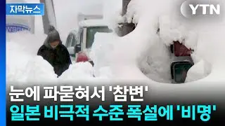 [자막뉴스] 