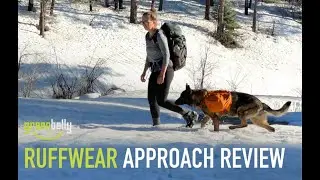 Ruffwear Approach Dog Backpack Review
