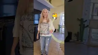 Как научиться ручному вращению: основы... часть 1. Начните с равномерно высокого поворота.