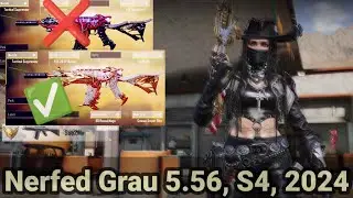 Nerfed Grau 5.56 Still Good But