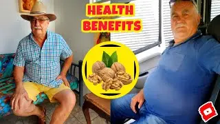HEALTH BENEFITS OF HAVING WALNUT IN THE MORNING || Daddy Fever