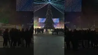 Рождественская елка | Бургас 🇧🇬 #рождество #путешествия #шорты #болгария #4k