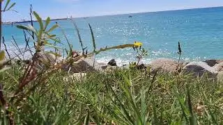 The Mediterranean Sea, the paradise 🌊🐟