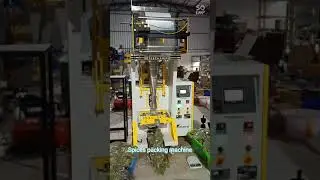 Spices packing machine Fully Automatic single head. imaco controller. Xpack