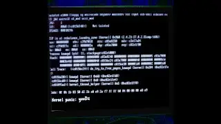 Kernel Panic | Conspicuous Loop.