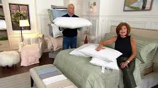 Northern Nights Down Surround Classic Pillow on QVC