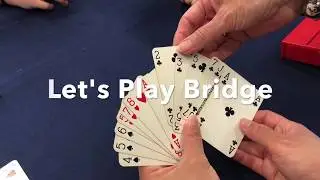 Let's Play Bridge