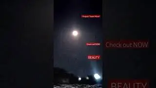 Breaking News Super Moon 1 August CheckNow!!info #breakingnews #new #news