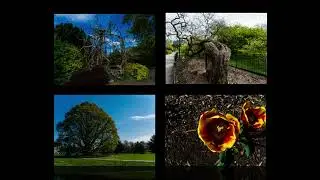 Royal Botanic Gardens, Kew 20 04 2023