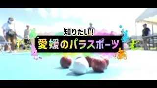 「知りたい！愛媛のパラスポーツ」